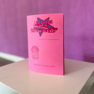 Zine: Life & Times of a Wannabe Popstar