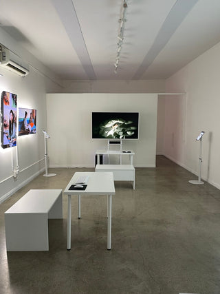 Zheng Fang: A Collection of Work (Feb. 15-17, 2024)