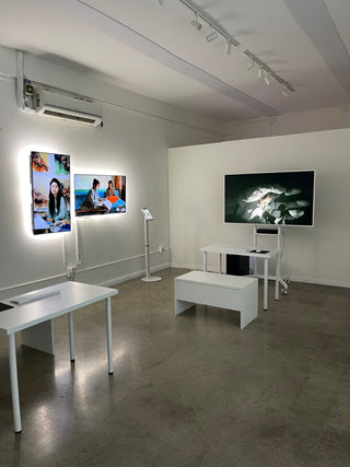 Zheng Fang: A Collection of Work (Feb. 15-17, 2024)